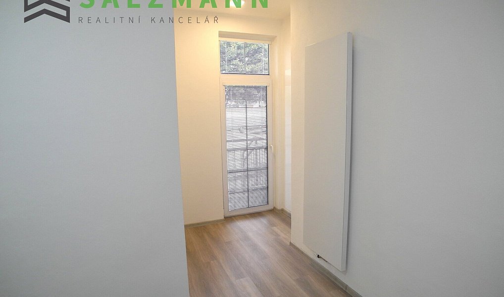 Pronájem bytu 3+kk 79 m², Plzeň – náhled fotky 15