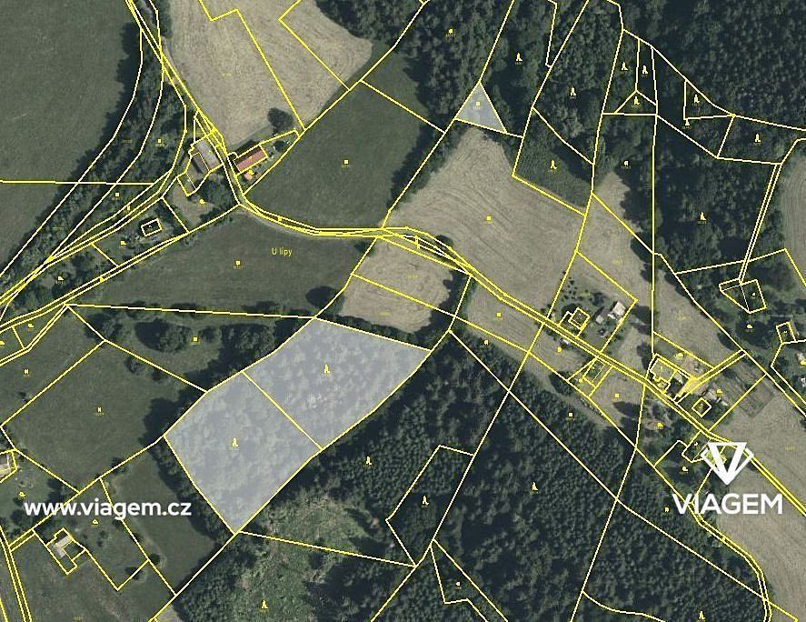 Prodej lesa 1 746 m²
