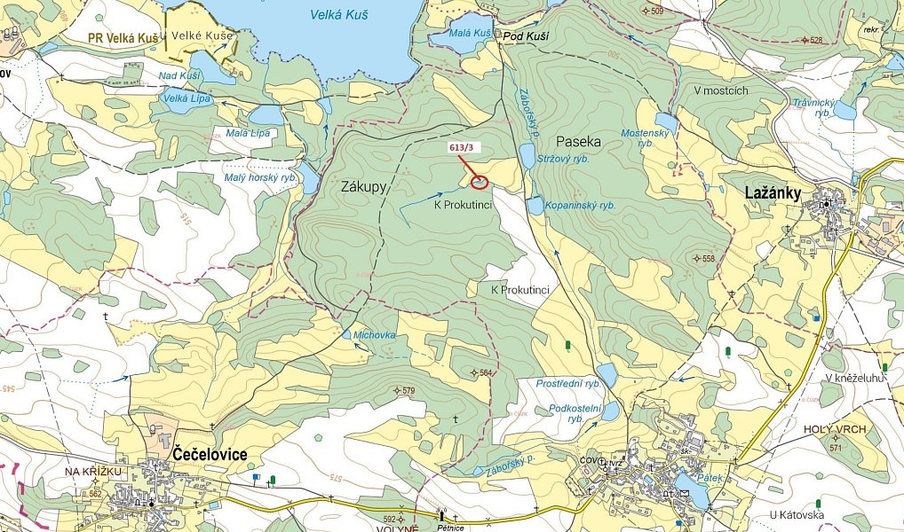 Dražba lesa, 180 m², Strakonice, Záboří