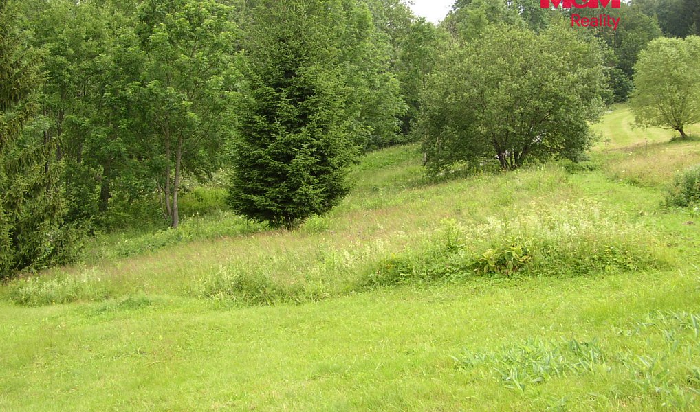 Prodej louky 4 214 m², Benecko – náhled fotky 7