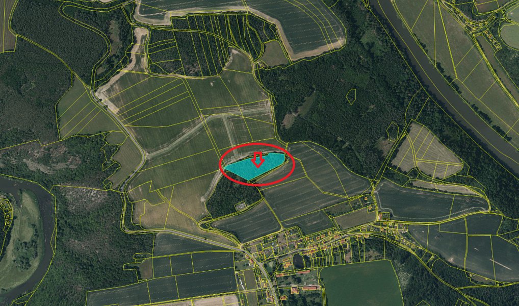 Prodej lesa 11 916 m², Kladruby – náhled fotky 8