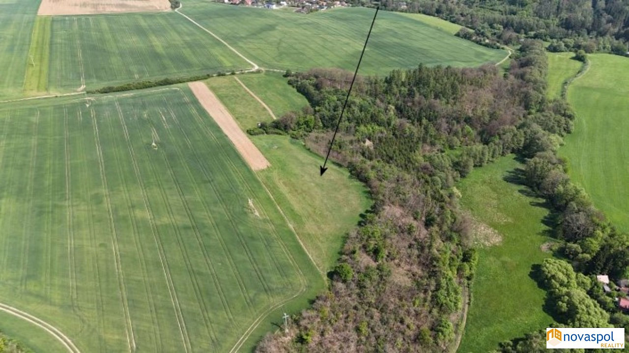 Prodej pole 10 736 m² — photo 3