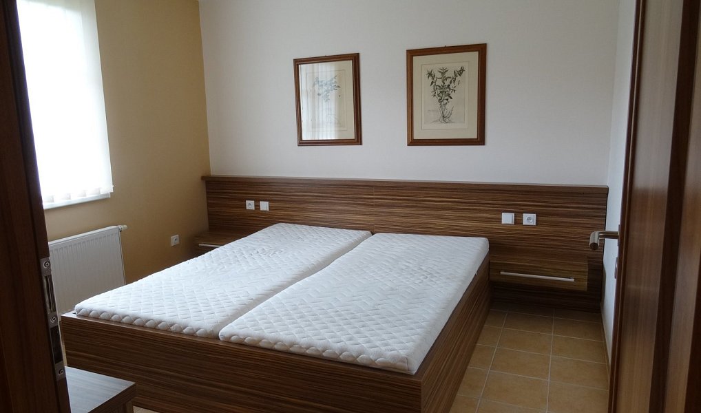 Pronájem bytu 2+kk 57 m², Mikulov – náhled fotky 3