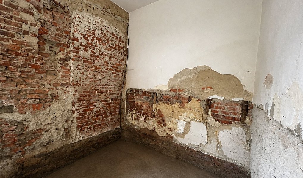 Pronájem domu 90 m² s pozemkem 197 m², Stránecká Zhoř – náhled fotky 11
