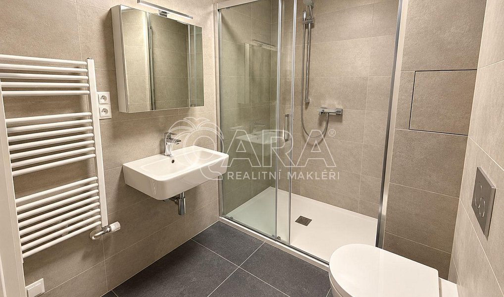 Pronájem bytu 1+kk 28 m², Praha – náhled fotky 9