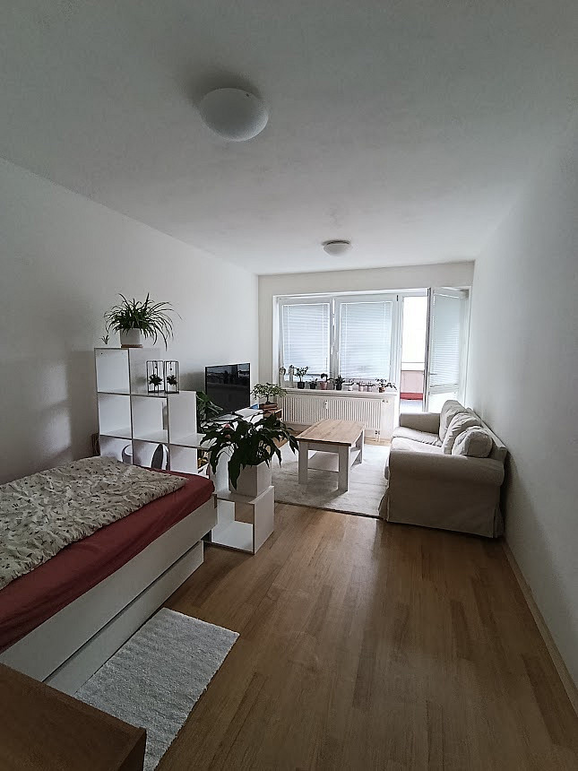 Pronájem bytu 2+1 66 m² – fotografie 3