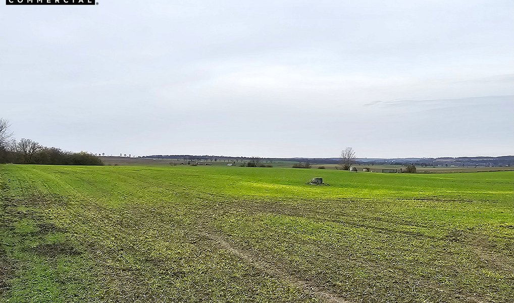 Prodej komerčního pozemku 16 025 m², Benátky nad Jizerou – fotka 1 z 6