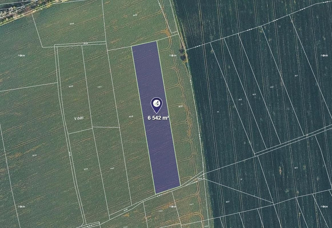 Prodej pole 6 542 m²