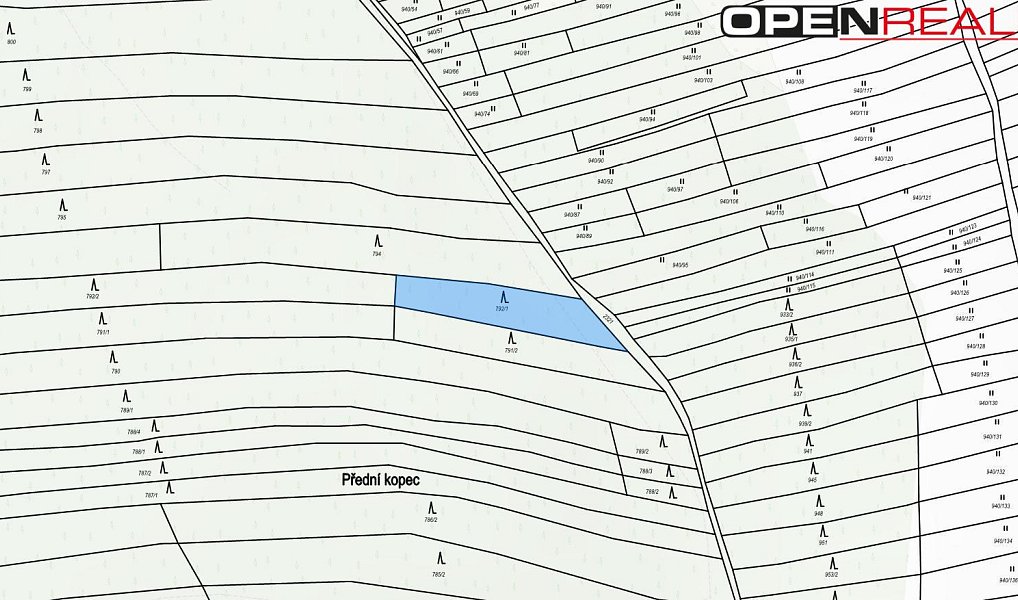 Prodej lesa 5 387 m², Morkůvky – náhled fotky 4