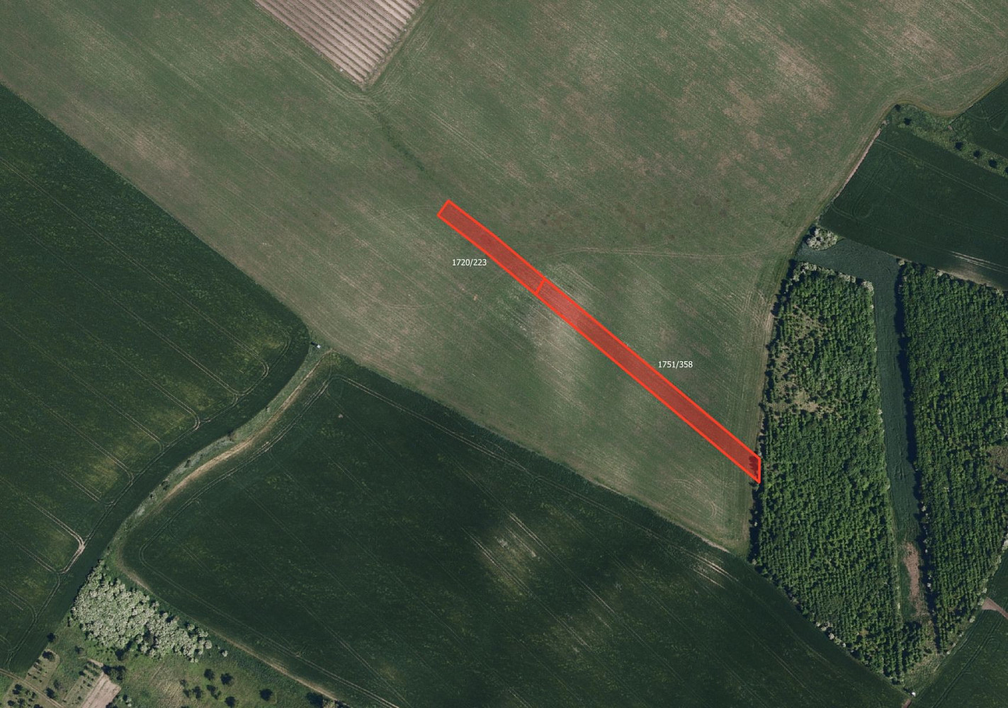Prodej pole 11 893 m² — photo 4
