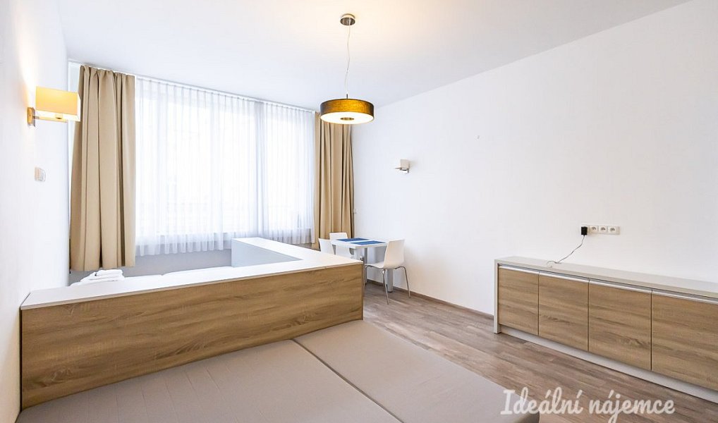 Pronájem bytu 1+kk 38 m², Praha – náhled fotky 7