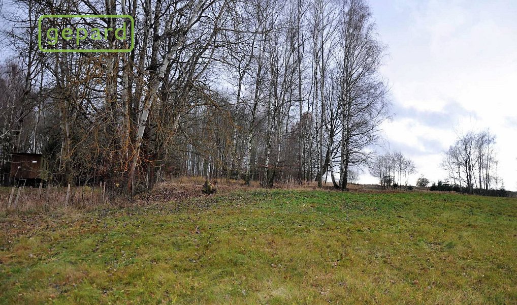 Prodej pole 4 674 m², Trhové Sviny – náhled fotky 8