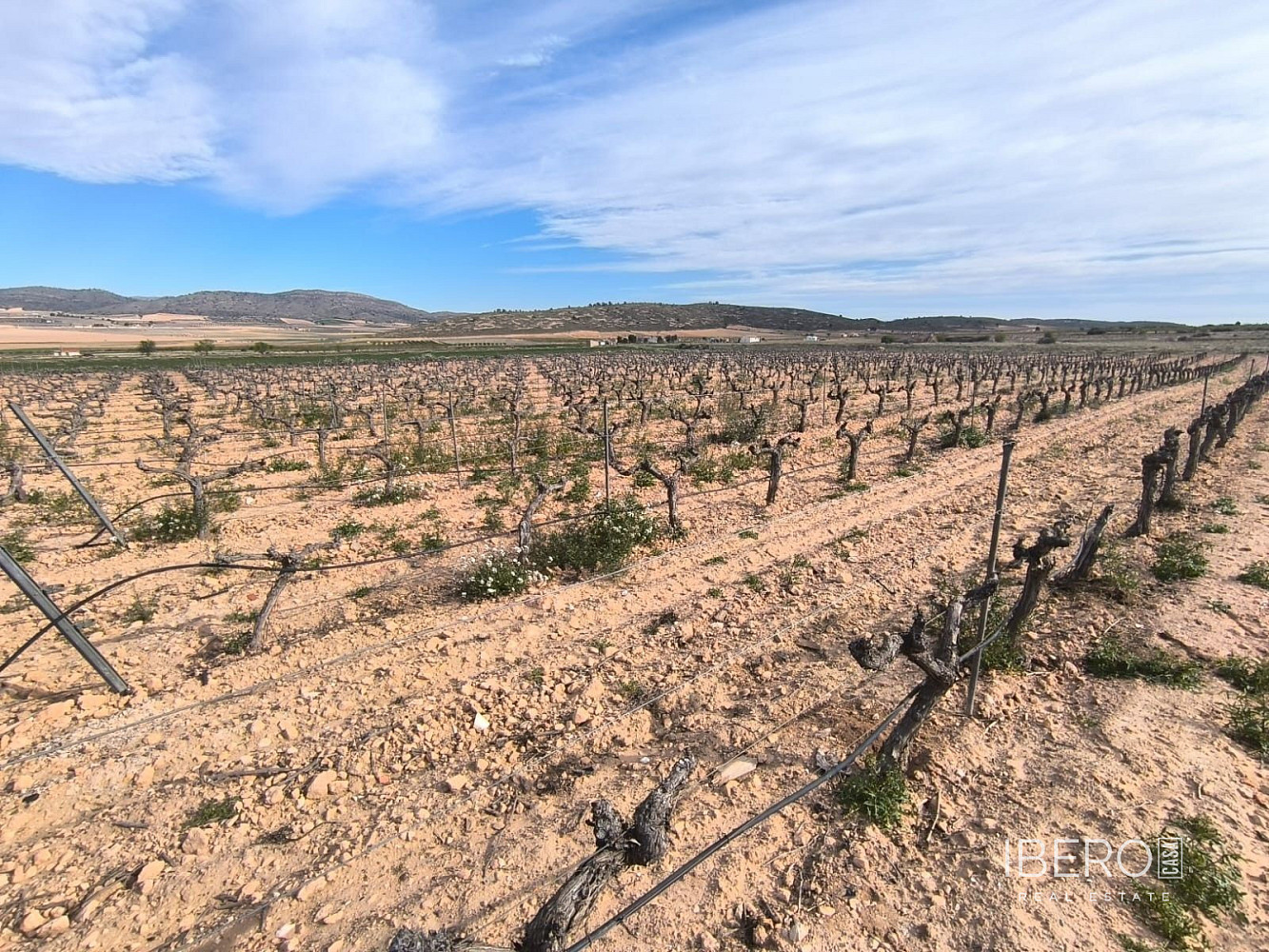 Casa – Murcia, Espinardo, El Puntal - Vista 2