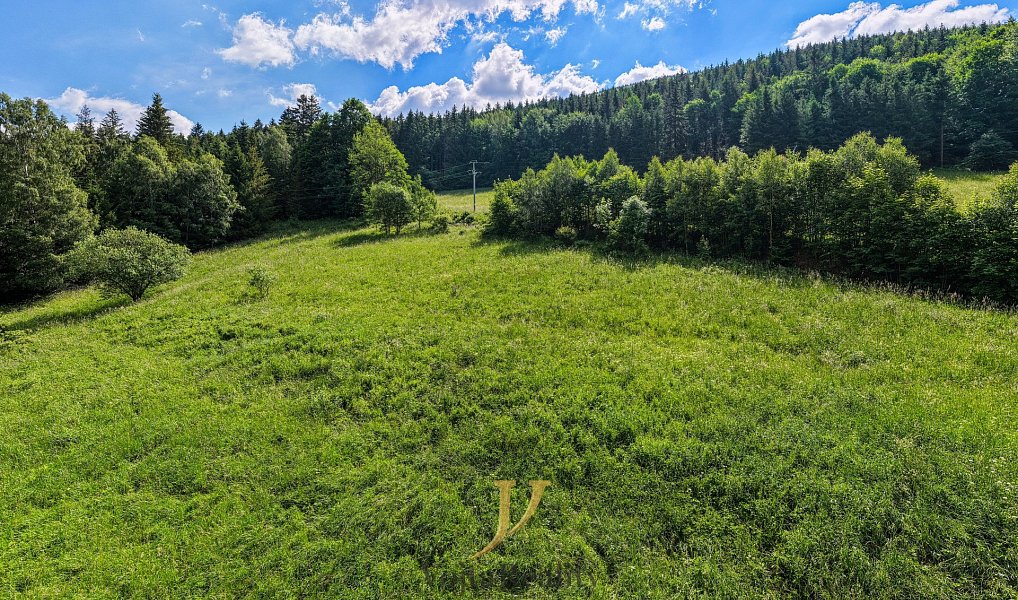 Prodej stavebního pozemku 3 999 m², Ludvíkov – náhled fotky 8