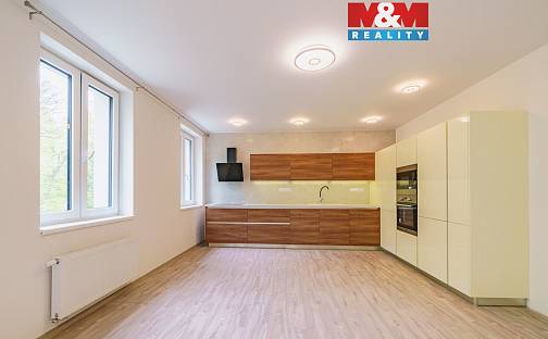 Pronájem bytu 3+kk 90 m², Břehnická, Cheb