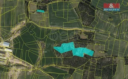 Prodej lesa 21 886 m², Úlehle, okres Strakonice