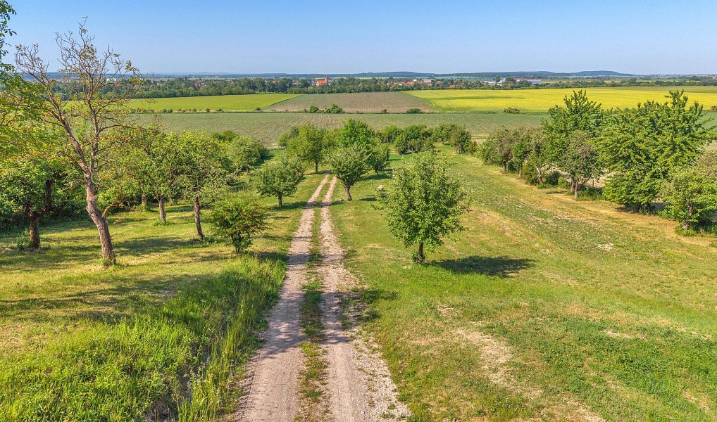 Prodej zahrady 8 945 m², Olešnice – náhled fotky 8