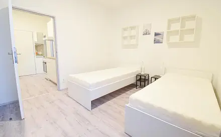 Pronájem bytu 1+1 24 m², Václavská, Brno - Staré Brno