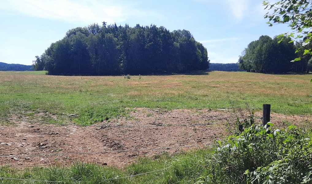 Prodej lesa 9 975 m², Benešov nad Černou – náhled fotky 2
