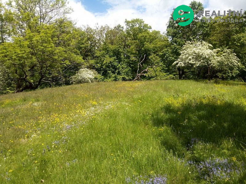 Prodej zahrady 679 m²