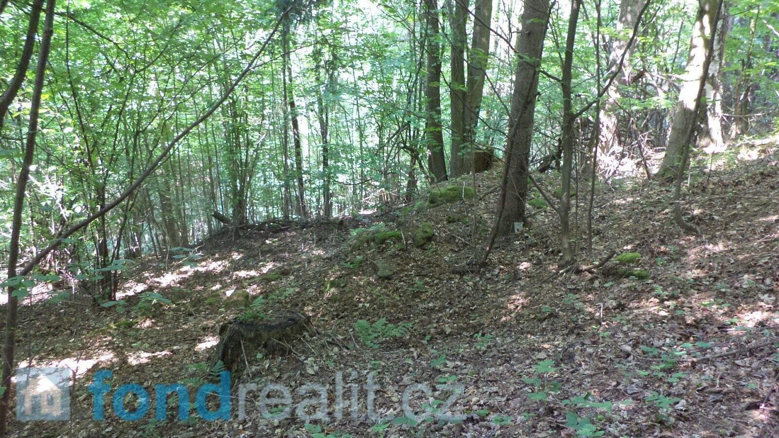 Prodej pozemku 4 634 m² – další