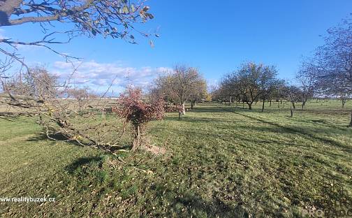 Prodej zahrady 1 909 m², Bochoř, okres Přerov
