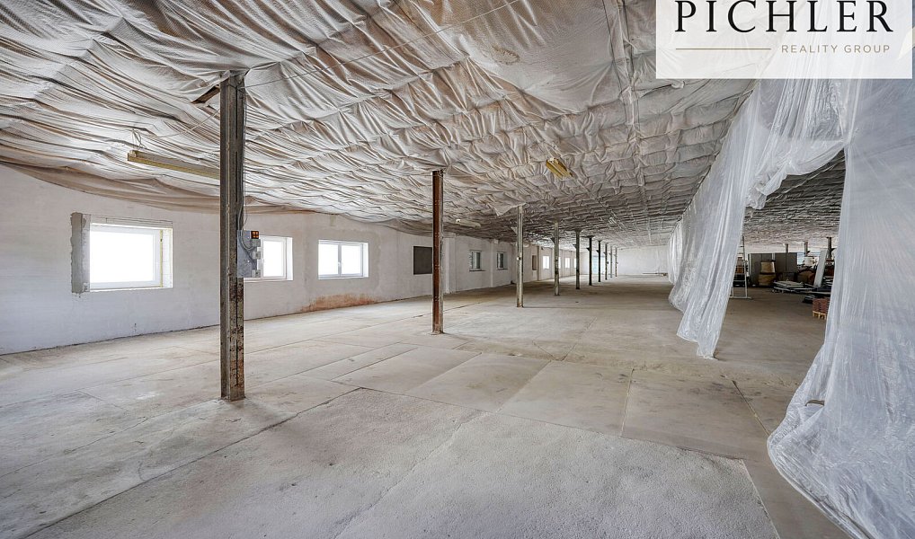 Pronájem výrobních prostor 3 000 m², Horní Bříza – náhled fotky 14