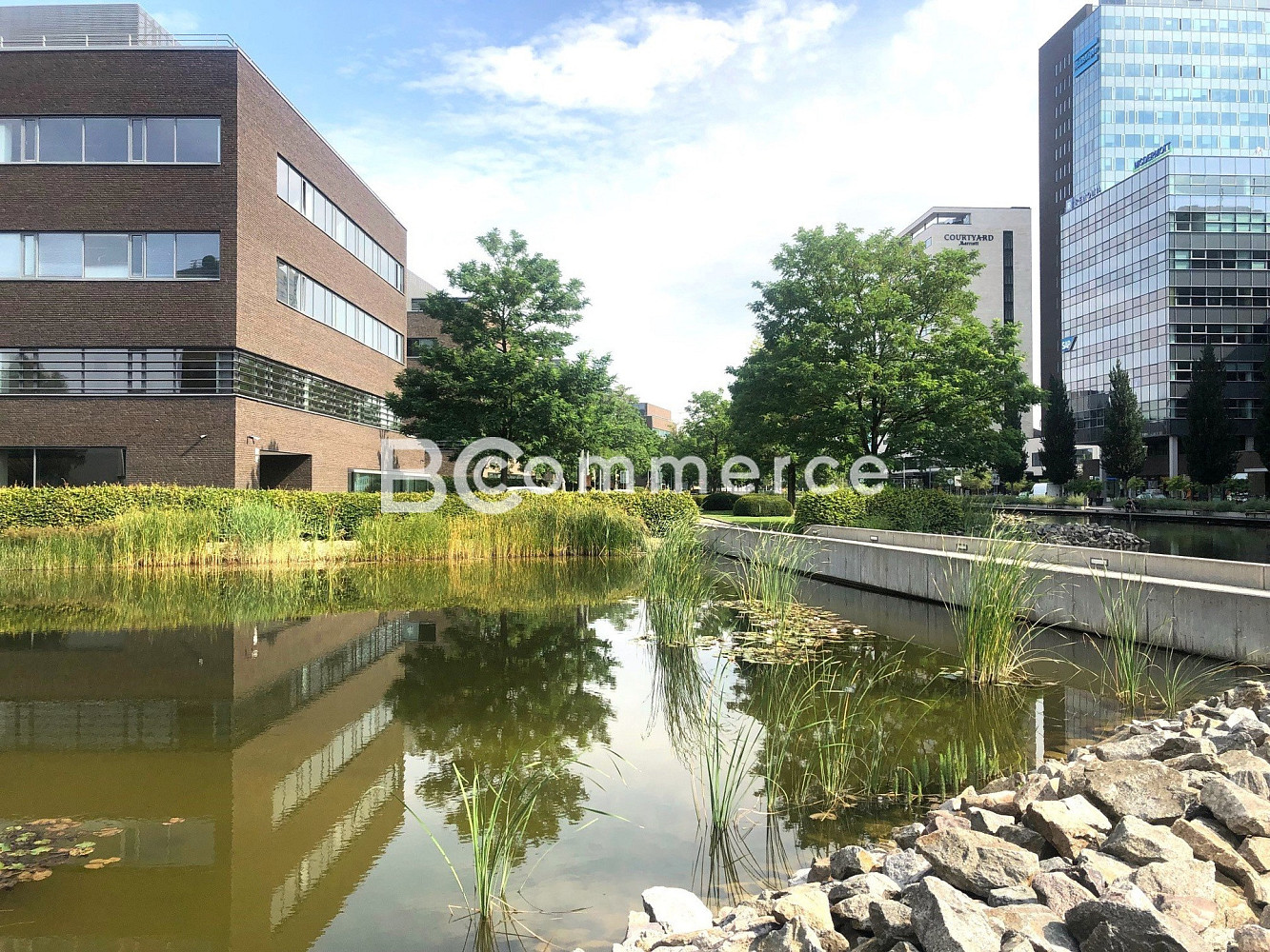 Pronájem kanceláře 273 m² – fotografie 5