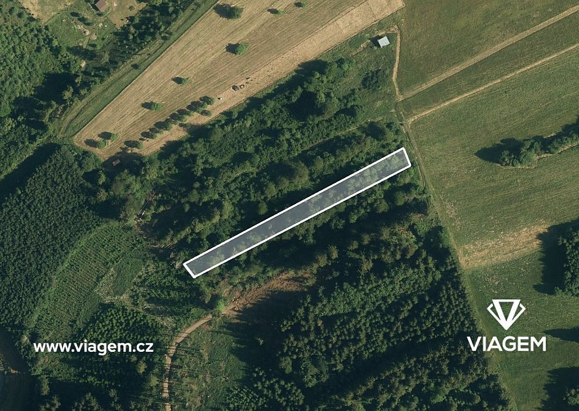 Prodej lesa 743 m²