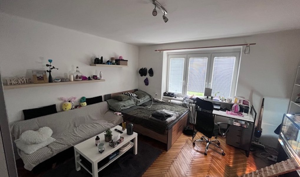 Pronájem bytu 1+1 40 m², Olomouc – náhled fotky 2