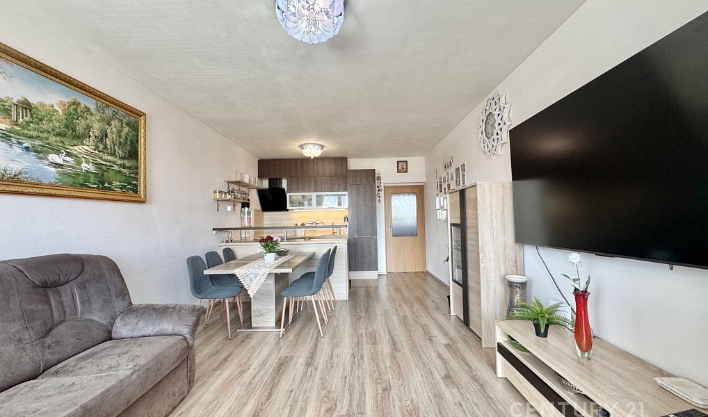 Prodej bytu 3+kk 68 m², Brno – náhled fotky 8