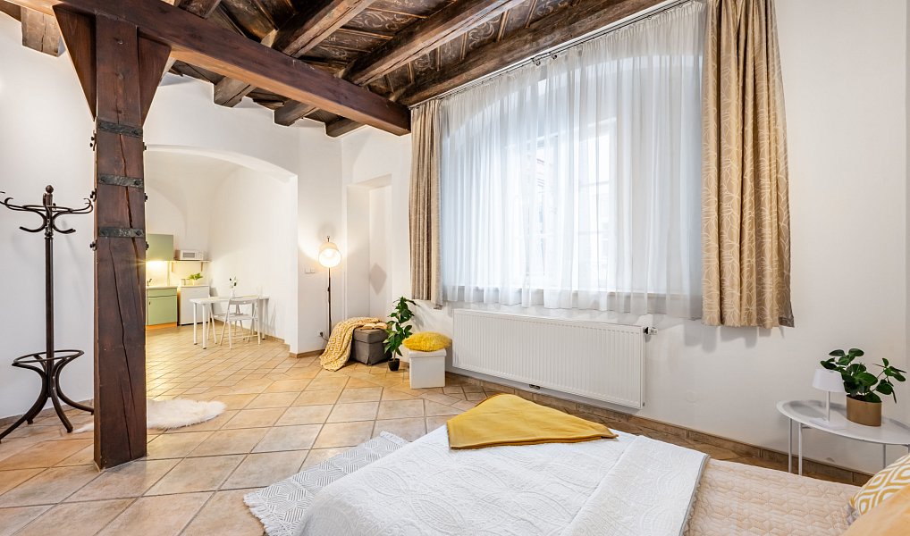 Prodej bytu 3+kk 109 m², Praha – náhled fotky 2