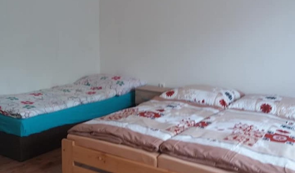Prodej domu 593 m² s pozemkem 3 869 m², Česká Skalice – náhled fotky 19
