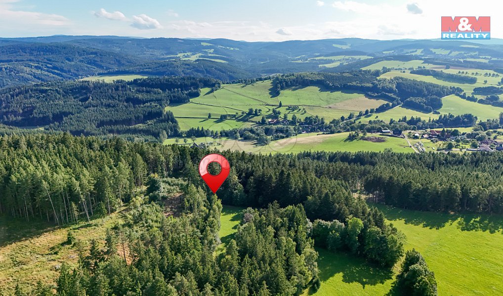 Prodej lesa 15 707 m², Petrovice u Sušice – náhled fotky 2