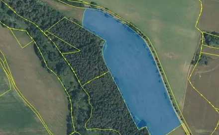 Pronájem pole 563 972 m², Prostiboř, okres Tachov