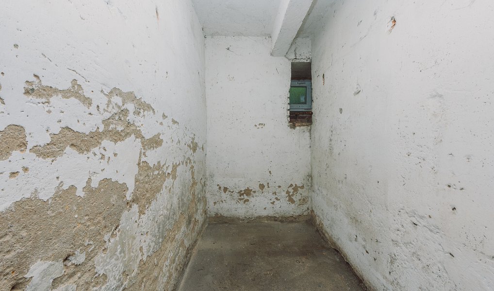 Prodej bytu 2+1 50 m², Rybitví – náhled fotky 13