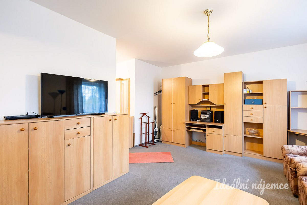 Pronájem bytu 1+1 39 m² – fotografie 2