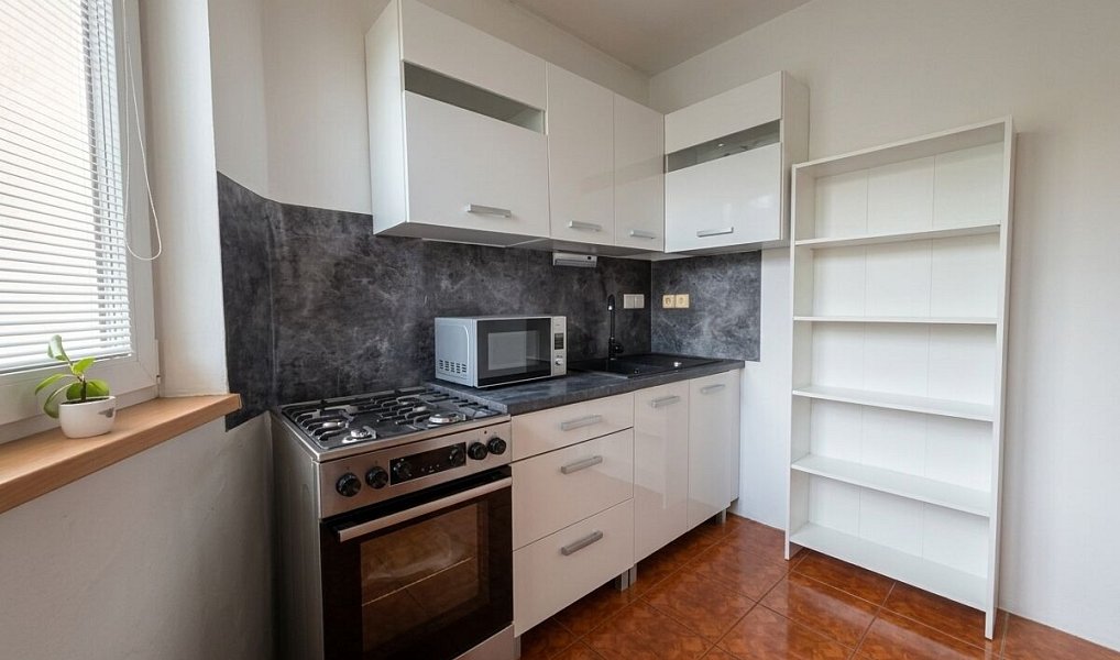 Prodej domu 260 m² s pozemkem 572 m², Kobeřice – náhled fotky 4
