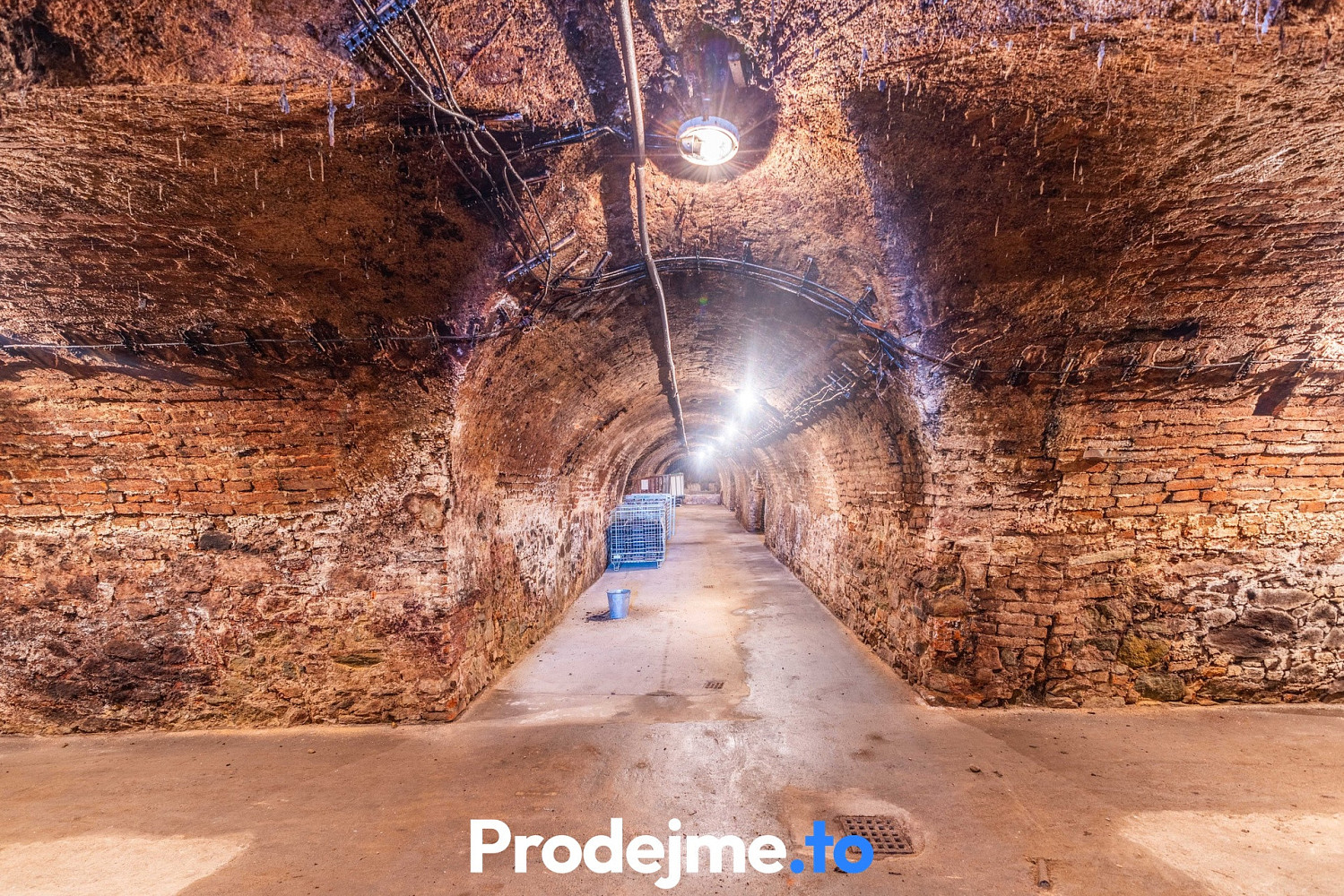 Prodej vinného sklepa 478 m2, nový šaldorf-sedlešovice — photo 5
