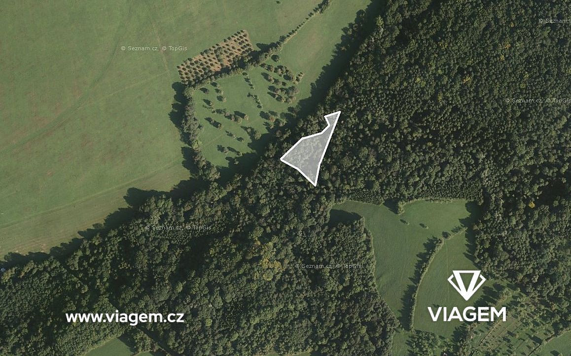 Prodej lesa 2 043 m²