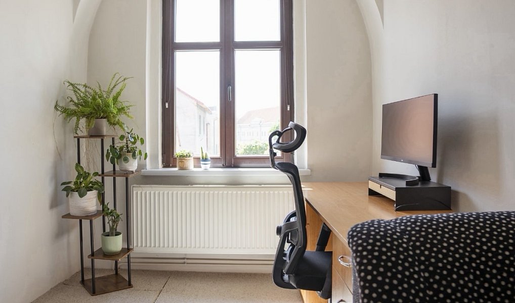 Prodej domu 260 m² s pozemkem 511 m², Přibyslav – náhled fotky 6