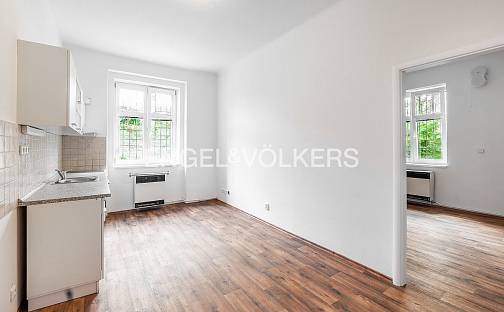 Pronájem bytu 1+1 42 m², V domově, Praha 3 - Žižkov