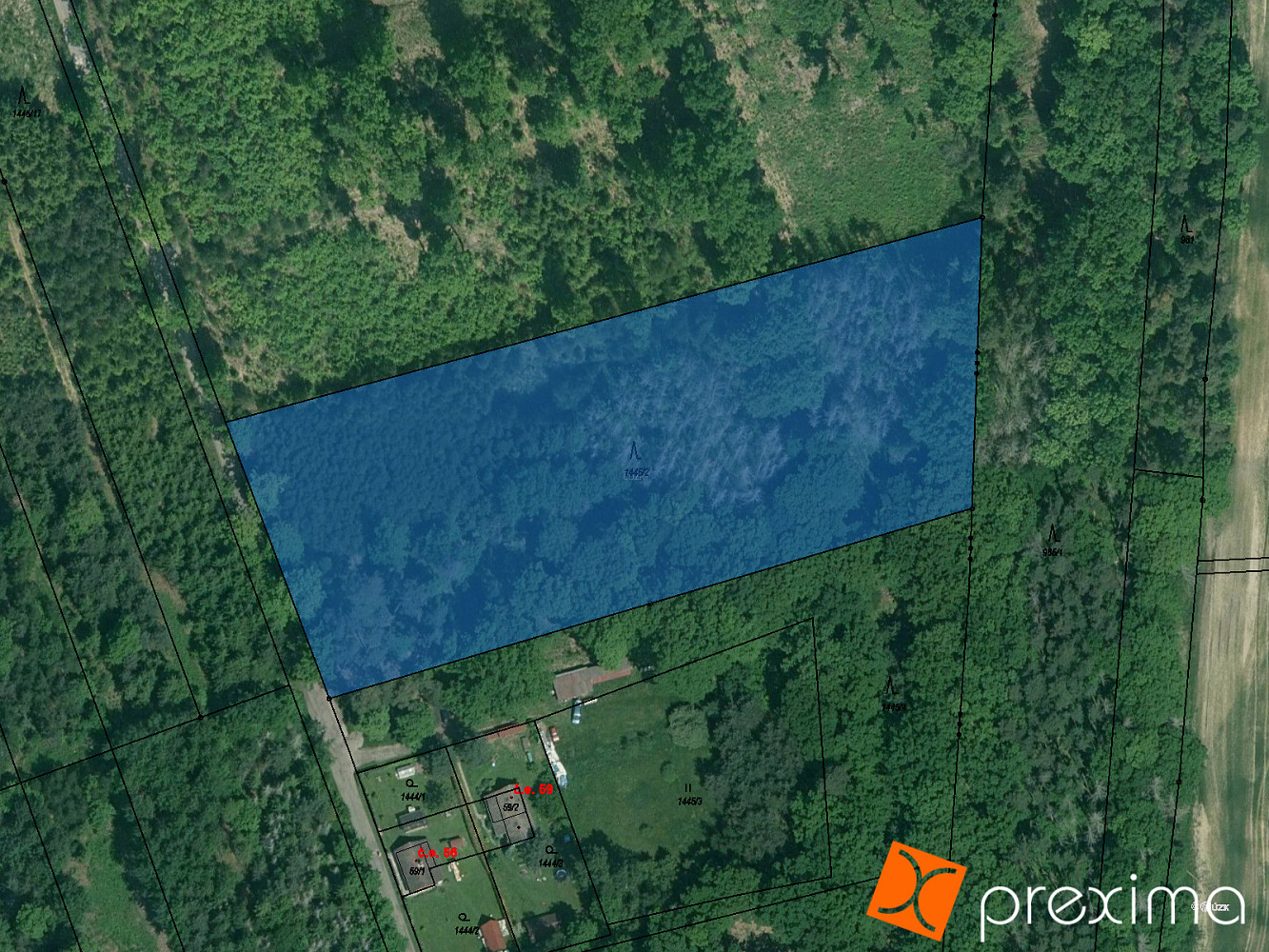 Prodej lesa 5 320 m²