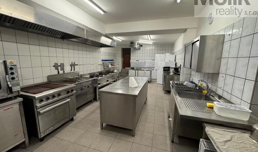 Prodej ubytovacího objektu 1 753 m², Český Jiřetín – náhled fotky 11