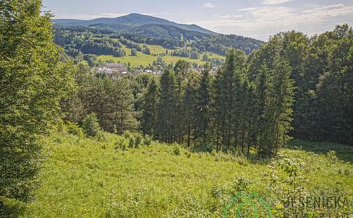 Prodej pole 12 392 m², Lipová-lázně, okres Jeseník