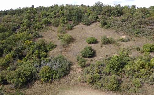 Prodej pole 22 441 m²