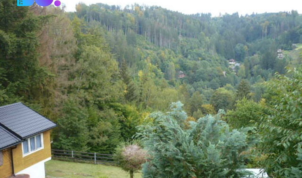 Prodej chaty/chalupy 55 m² s pozemkem 560 m², Zábřeh – náhled fotky 15