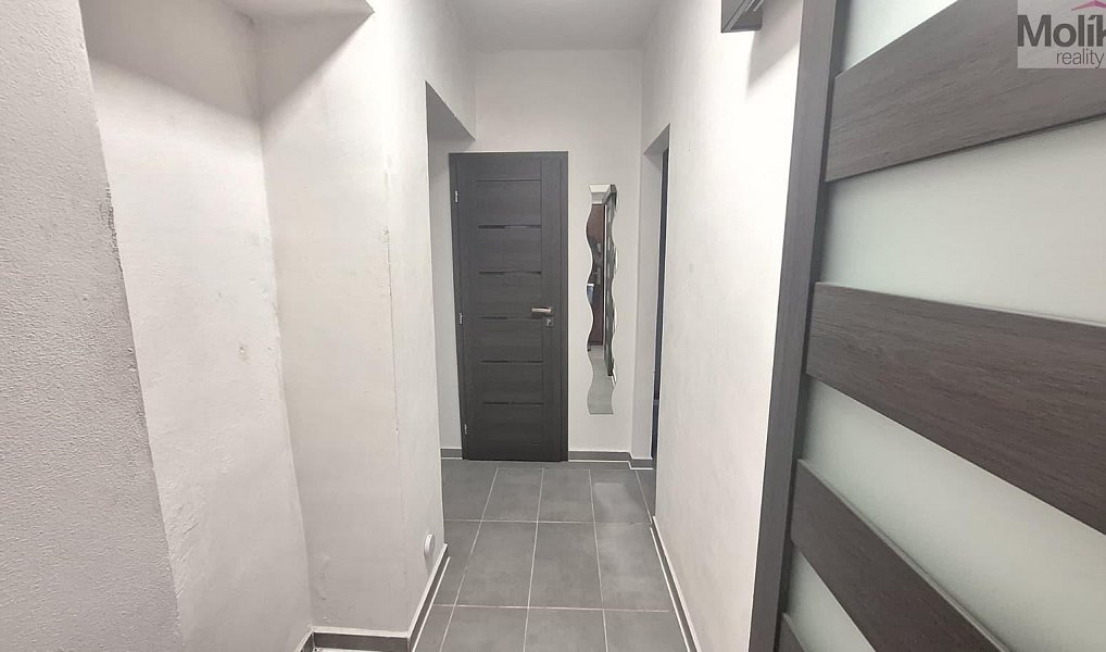 Pronájem bytu 2+1 52 m², Osek – náhled fotky 7