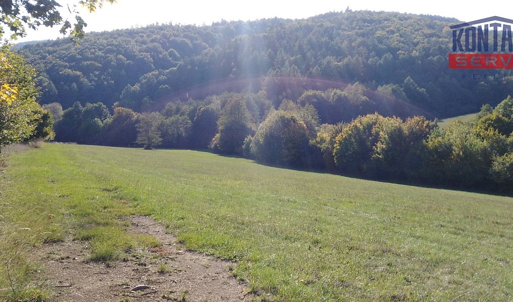 Prodej pole 9 092 m², Podkopná Lhota – náhled fotky 5