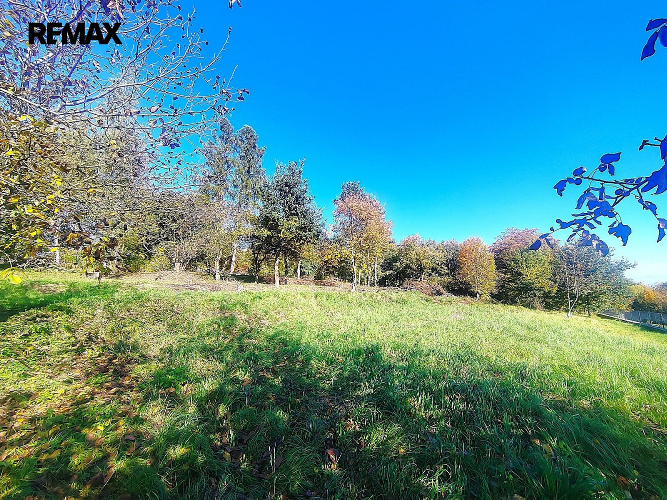 Prodej stavebního pozemku 3 646 m² – fotografie 5